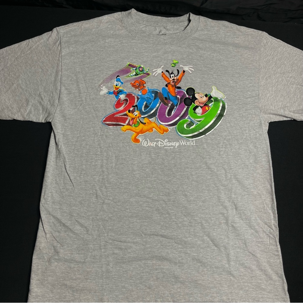 Hanes Gray Disneyland T-Shirt